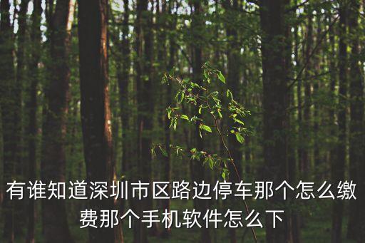 有誰知道深圳市區路邊停車那個怎么繳費那個手機軟件怎么下