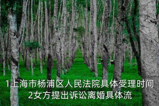 1上海市楊浦區(qū)人民法院具體受理時(shí)間 2女方提出訴訟離婚具體流