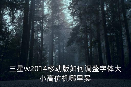 深圳三九倍康仿真偽，三星w2014移動版如何調整字體大小高仿機哪里買
