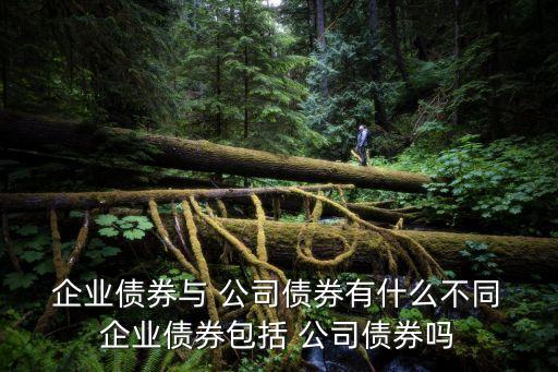  企業債券與 公司債券有什么不同 企業債券包括 公司債券嗎