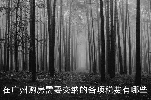 在廣州購房需要交納的各項稅費有哪些