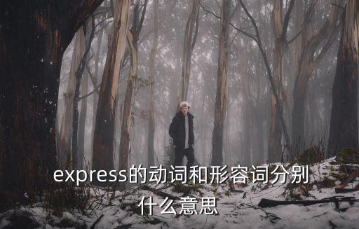  express的動詞和形容詞分別什么意思