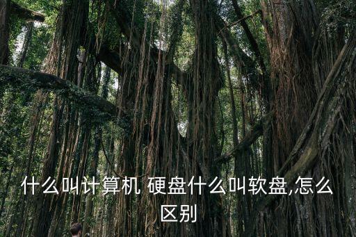 什么叫計算機 硬盤什么叫軟盤,怎么區別