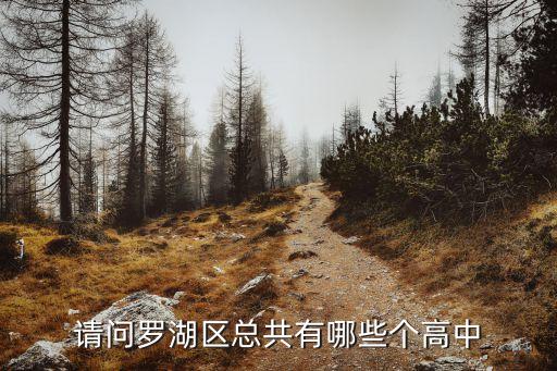 深圳羅湖的高中部，深圳羅湖區(qū)有哪些高中私立公立都可以
