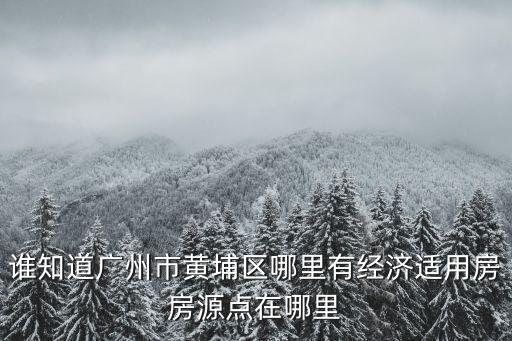 誰知道廣州市黃埔區哪里有經濟適用房房源點在哪里