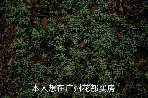本人想在廣州花都買房
