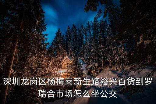深圳龍崗楊梅崗市場，深圳龍崗區楊梅崗新生路裕興百貨到羅瑞合市場怎么坐公交