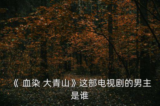 《 血染 大青山》這部電視劇的男主是誰