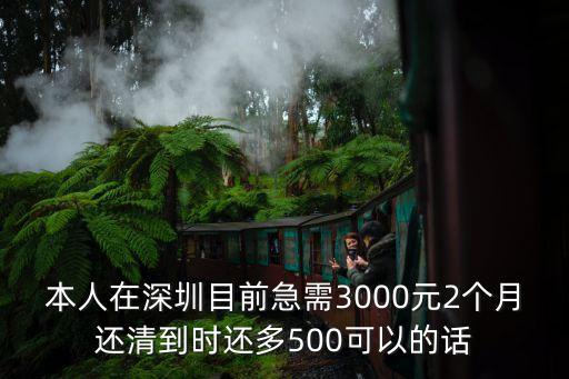 深圳沁芳源珠寶貸款，你是沁芳源公司的