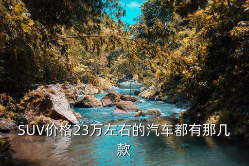 SUV價格23萬左右的汽車都有那幾款