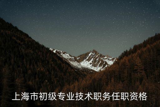 上海市初級專業技術職務任職資格
