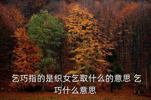  乞巧指的是織女乞取什么的意思 乞巧什么意思