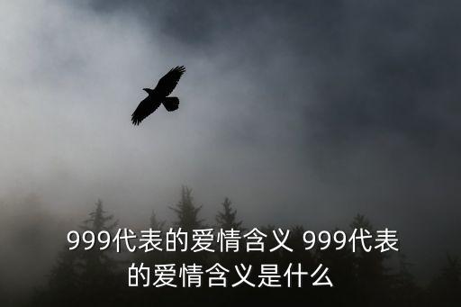 999什么意思,999代表著什么?