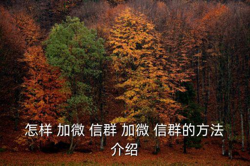 怎么加微信群號(hào),微信群一鍵加好友