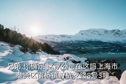 兄弟 你確定 這家公司在這嗎上海市奉賢區(qū)南橋鎮(zhèn)滬杭支路8號(hào)3幢