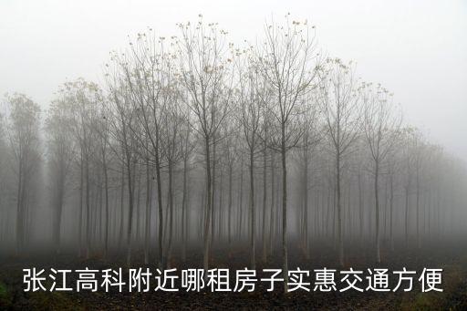 上海市張江高科租房，上海張江高科附近哪里租房子比較便宜