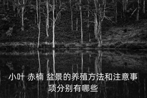 小葉 赤楠 盆景的養殖方法和注意事項分別有哪些