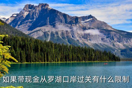 深圳入境旅客攜帶現(xiàn)金，深圳海關(guān)對身上攜帶的現(xiàn)金美金有要求嗎