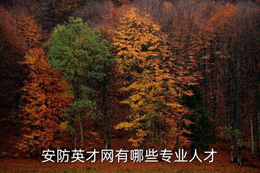 安防英才網有哪些專業人才