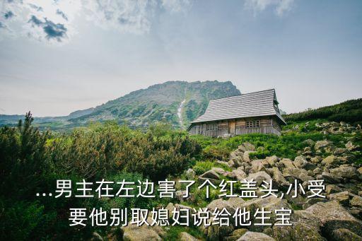 進寶娶媳婦兒