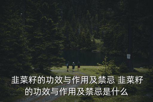  韭菜籽的功效與作用及禁忌 韭菜籽的功效與作用及禁忌是什么
