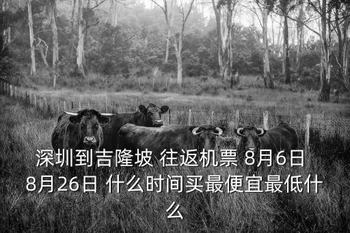 深圳到吉隆坡 往返機(jī)票 8月6日 8月26日 什么時(shí)間買(mǎi)最便宜最低什么