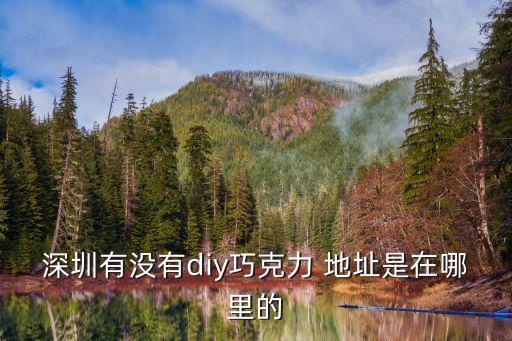 深圳有哪些地方有DIY，深圳哪里有DIY衣服的地方啊