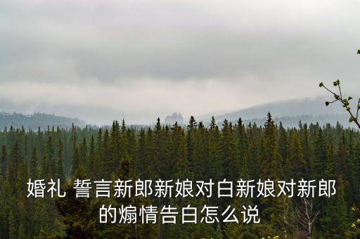 婚禮誓言詞,婚禮證婚詞結(jié)婚誓言