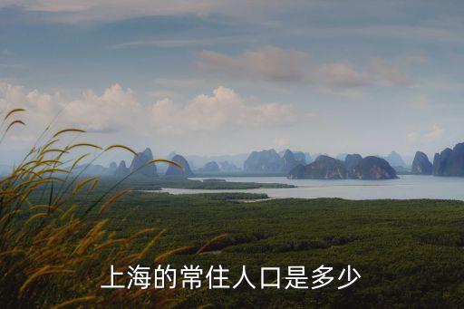 上海的常住人口是多少