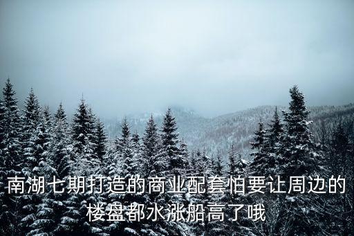南湖七期打造的商業配套怕要讓周邊的樓盤都水漲船高了哦