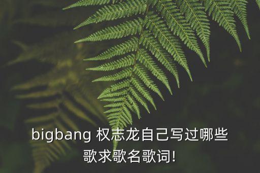bigbang 權志龍自己寫過哪些歌求歌名歌詞!