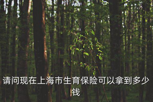 上海市生育基金最多可領多少，上海生育津貼領取標準2016