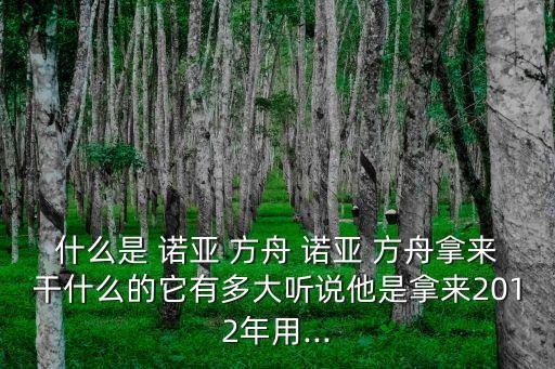 什么是 諾亞 方舟 諾亞 方舟拿來干什么的它有多大聽說他是拿來2012年用...