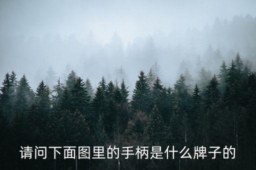 深圳游戲手柄生產(chǎn)，請問下面圖里的手柄是什么牌子的
