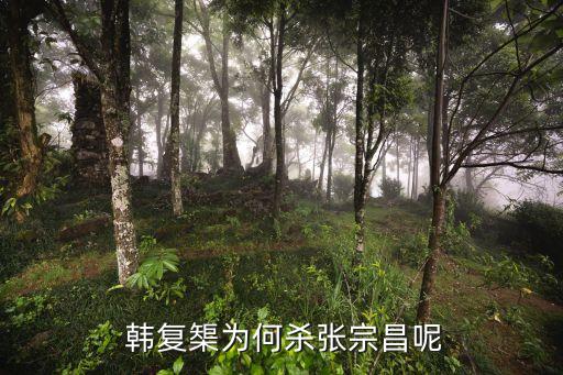 韓復渠,韓復渠放棄山東因懼怕日本人?