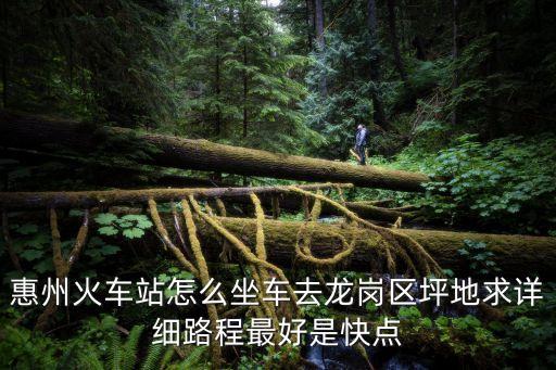 深圳坪山麥當勞，龍崗坪山麥當勞收銀員態度如此不好為何還能繼續在麥當勞工作