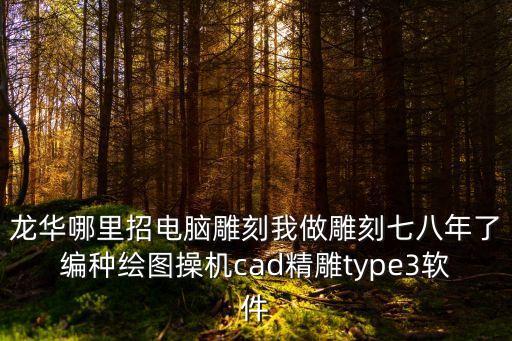 龍華哪里招電腦雕刻我做雕刻七八年了編種繪圖操機(jī)cad精雕type3軟件