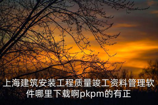 上海建筑安裝工程質(zhì)量竣工資料管理軟件哪里下載啊pkpm的有正
