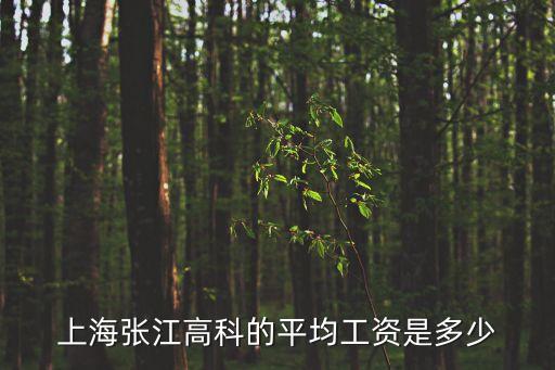 上海市張江專修學院待遇，上海張江高科的平均工資是多少