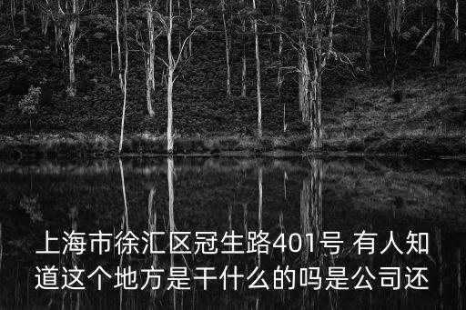 上海市徐匯區特殊教育指導中心，上海市徐匯區冠生路401號 有人知道這個地方是干什么的嗎是公司還