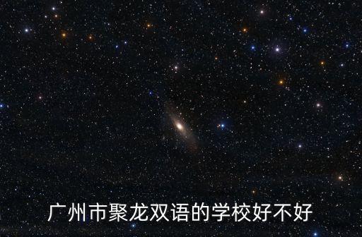 廣州市聚龍雙語(yǔ)的學(xué)校好不好
