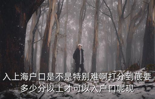 入上海戶口是不是特別難啊打分到底要多少分以上才可以入戶口呢現(xiàn)