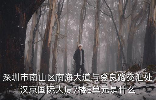 深圳市南山區南海大道與登良路交匯處漢京國際大廈7樓E單元是什么