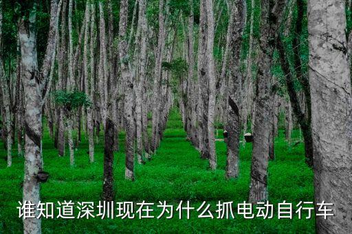 誰(shuí)知道深圳現(xiàn)在為什么抓電動(dòng)自行車