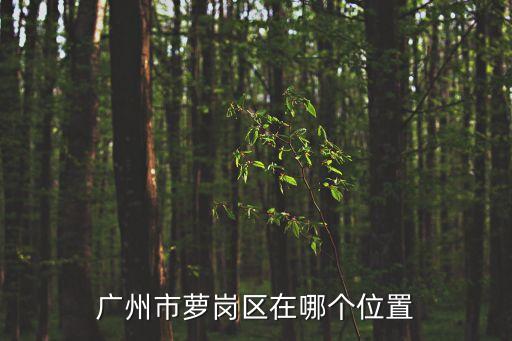 廣州蘿崗小學地段，請問一下廣州市籮崗區靠近那個方向