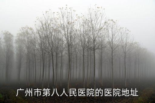 廣州東風(fēng)路778號(hào)，廣州市第八人民醫(yī)院的醫(yī)院地址