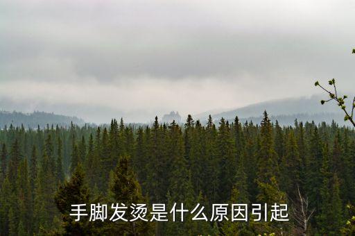  手腳發燙是什么原因引起