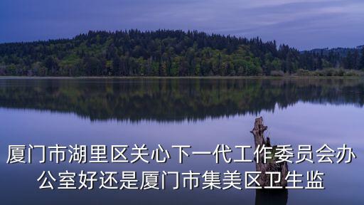 廈門市湖里區(qū)關(guān)心下一代工作委員會辦公室好還是廈門市集美區(qū)衛(wèi)生監(jiān)