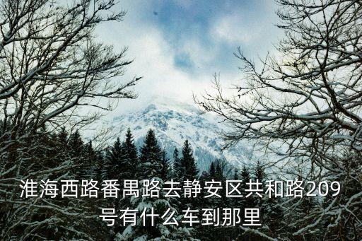 淮海西路番禺路去靜安區(qū)共和路209號(hào)有什么車到那里