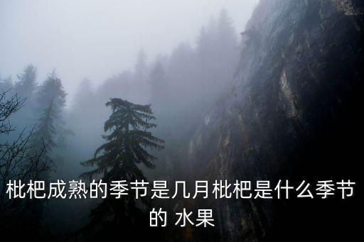 枇杷成熟的季節是幾月枇杷是什么季節的 水果